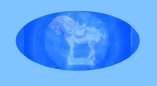 071026_fenton_glass_antique_thefts_moravian_pottery001024.jpg